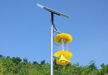 ���w̫����l��ʽ���x��