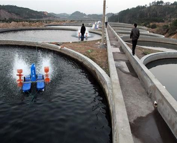 ˮ�a(ch��n)�B(y��ng)ֳ���ܱO(ji��n)��ϵ�y(t��ng)