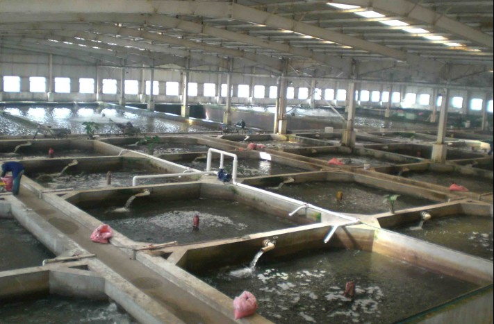 ���������O(ji��n)�y(c��)������