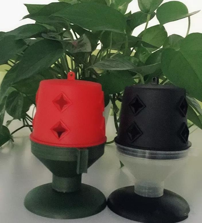 ������ҹ���T����