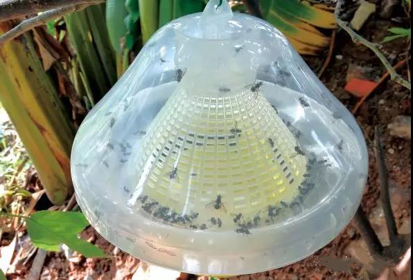 ����ω�T����