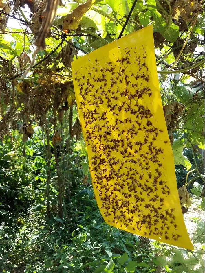 ��(sh��)ωճ�z��