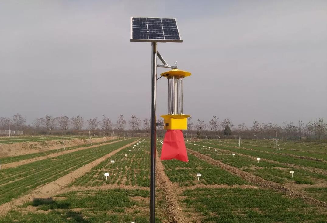 ̫�(y��ng)�ܚ��x��