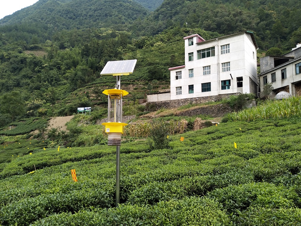 ���w�Ԅ�(d��ng)���x̫��ܚ��x��