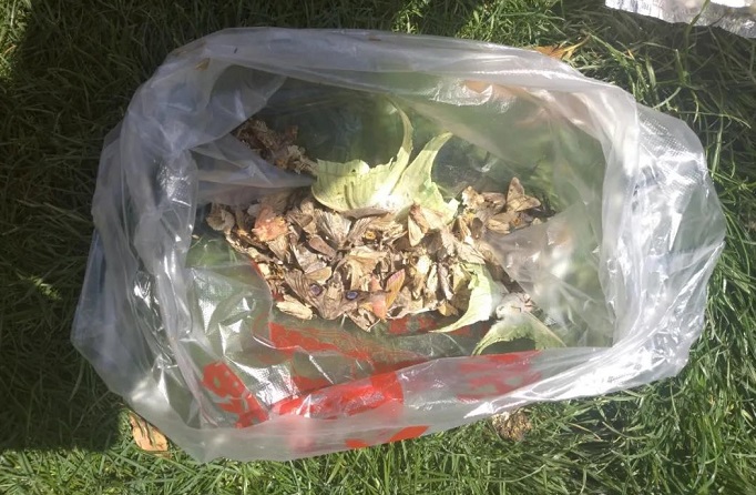 �߿՜y��(b��o)��