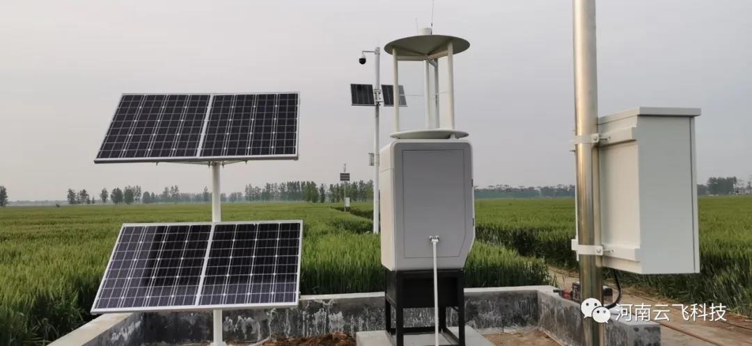 央視和河南衛(wèi)視報道 | 云飛科技助力商水建設高標準農(nóng)田