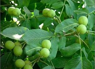 ��(j��ng)�^̫��ܚ��x�����κ�ĺ���