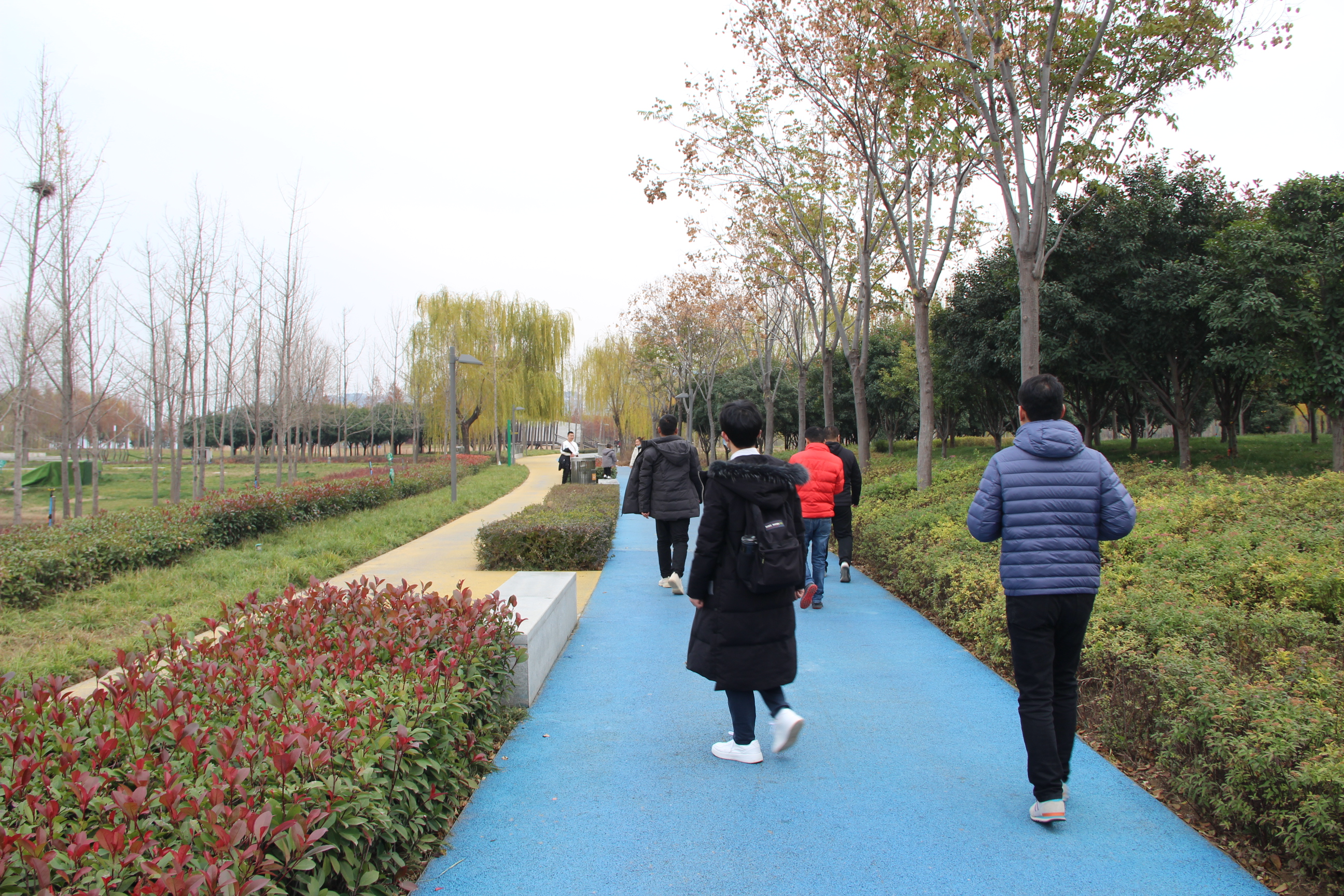 ���w���ӕ�