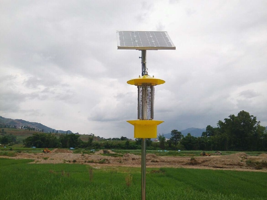 ���w̫����l��ʽ���x��