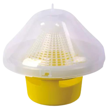 ����(sh��)ω�T����