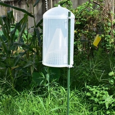 �����w���T����