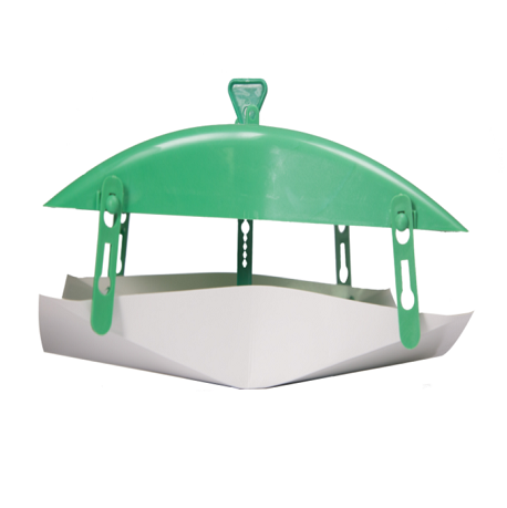 �����T����