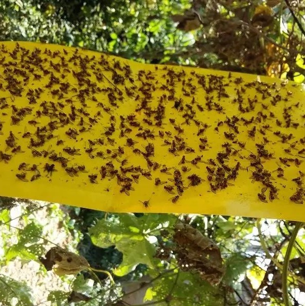 ��(sh��)ωճ�z��