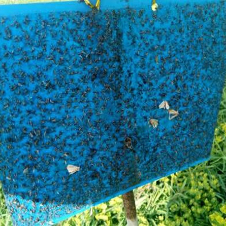 �E�R��Ϣ��ճ�z��