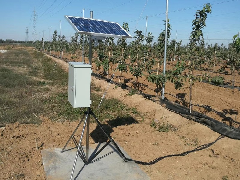 ��yʽ�r(n��ng)�I(y��)����վ