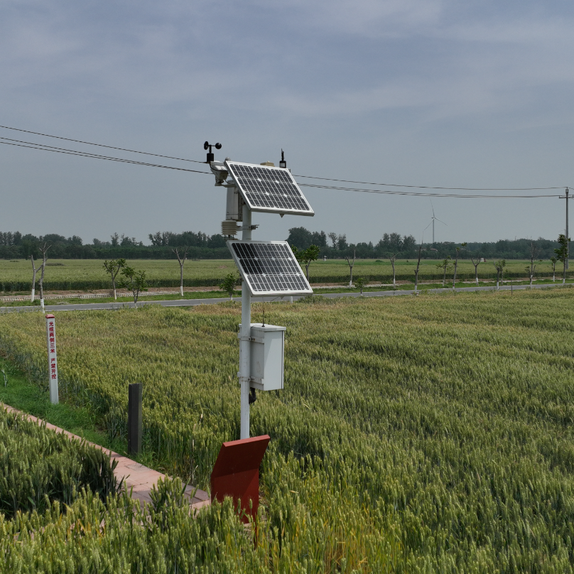 ȫ�Ԅ�(d��ng)������(sh��)����վ