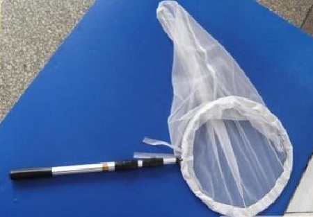 ���x(ch��ng)�W(w��ng)