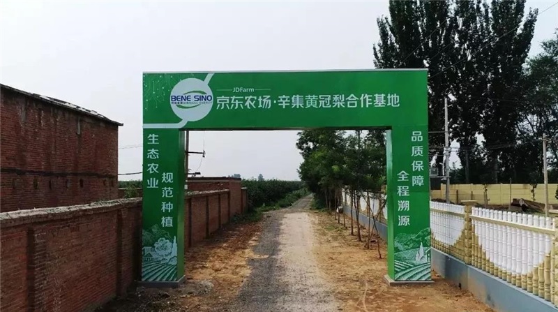 ���w�ǻ��r(n��ng)�I(y��)�O(sh��)�����M(j��n)���|�r(n��ng)��(ch��ng)•�����ʹ����������